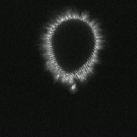 Couronne GDV régulière avec un point lumineux isolé sous le doigt.