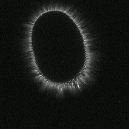 Couronne GDV d'un doigt plus large, halo court et serré.